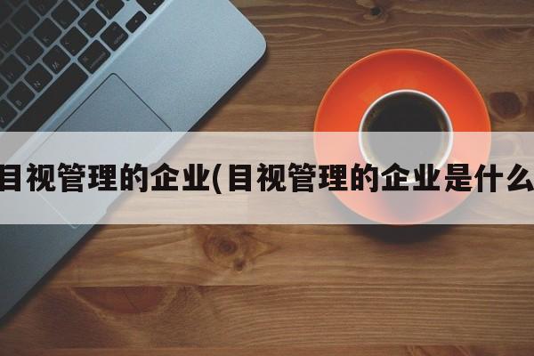 目视管理的企业(目视管理的企业是什么)